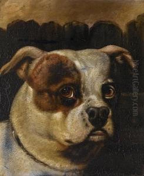 Head Study Of The Bulldog Billy; Head Study Of The Bulldog Wasp Oil Painting by Henry Bernard Chalon