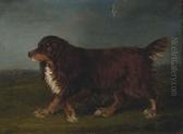 A Spaniel In A Landscape Oil Painting by Henry Bernard Chalon