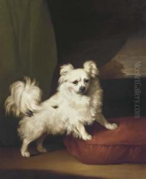 A White Papillon Standing On A Cushion Oil Painting by Henry Bernard Chalon