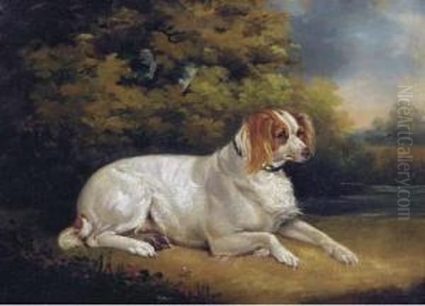 Reclining Brittany Spaniel Oil Painting by Henry Bernard Chalon