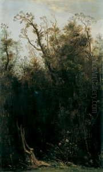 Urwald Oil Painting by Theo Champion