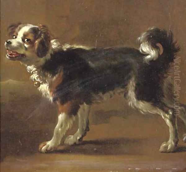 Een Kooikerhond Oil Painting by Adriaen Cornelisz. Beeldemaker