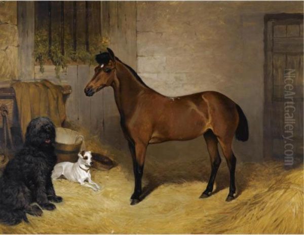 A Chestnut Horse With A Sheepdog And Terrier In A Stable Oil Painting by John Charlton