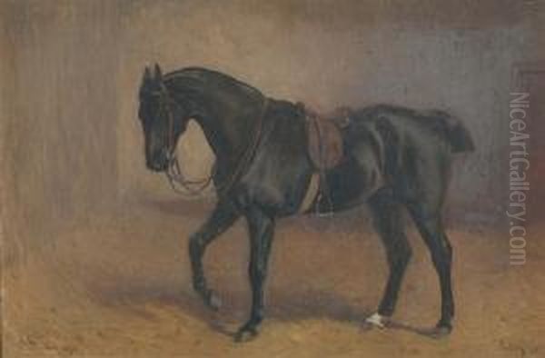 ''sultan' - A Saddled Hunter In A Loose Box' Oil Painting by John Charlton