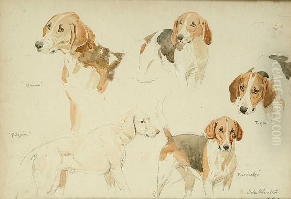 Studies Of Hounds, Driver, Pilgrim, Tempest, Trifle And Bachelor Oil Painting by John Charlton