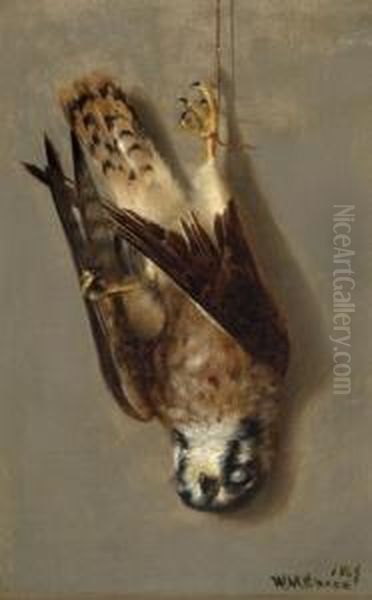 Sparrow Hawk Oil Painting by William Merritt Chase