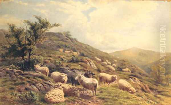 Sheep grazing in a Hilly Landscape Oil Painting by Henry Birtles