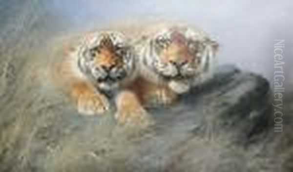 Two Tigers Crouching On A Rock Oil Painting by Lilian Cheviot