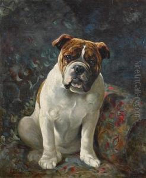 Doodles, Study Of A Bulldog Oil Painting by Lilian Cheviot