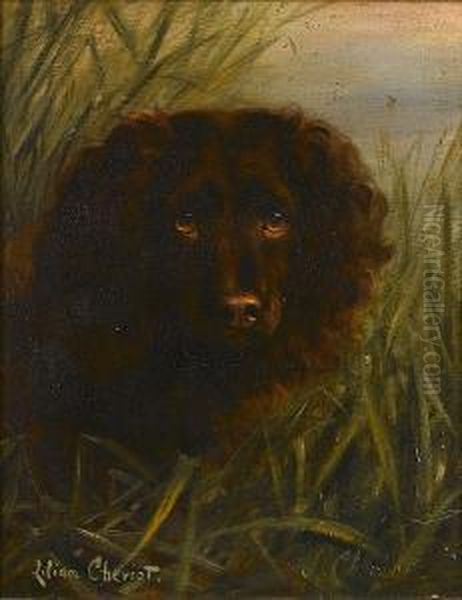 A Water Spaniel Among Reeds by Lilian Cheviot