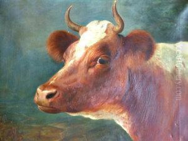 Portrait Of A Bull Oil Painting by Lilian Cheviot