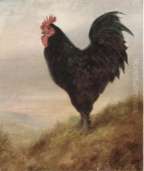 A Broad Langsham Fowl Oil Painting by Lilian Cheviot