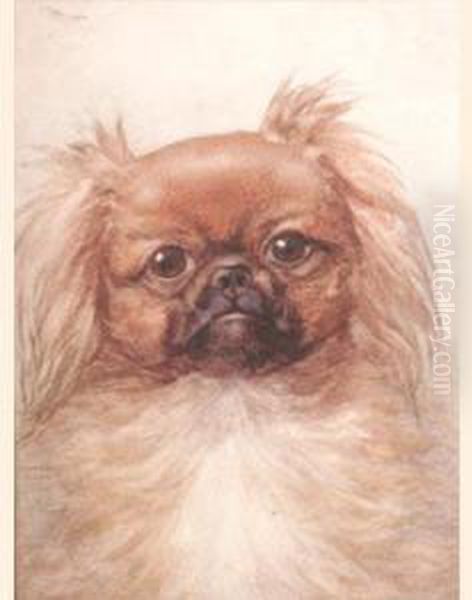 A Pekingese by Lilian Cheviot