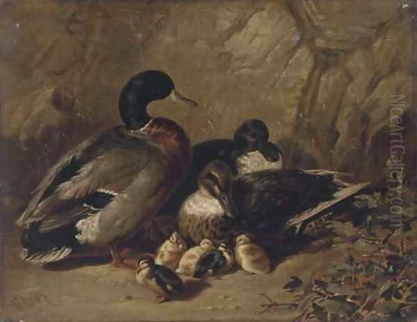 Ducks and ducklings Oil Painting by James Bradley