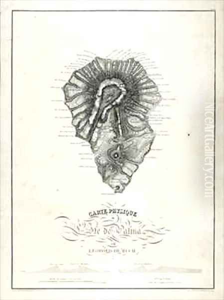 Physical Map of La Palma Oil Painting by Leopold de Buch