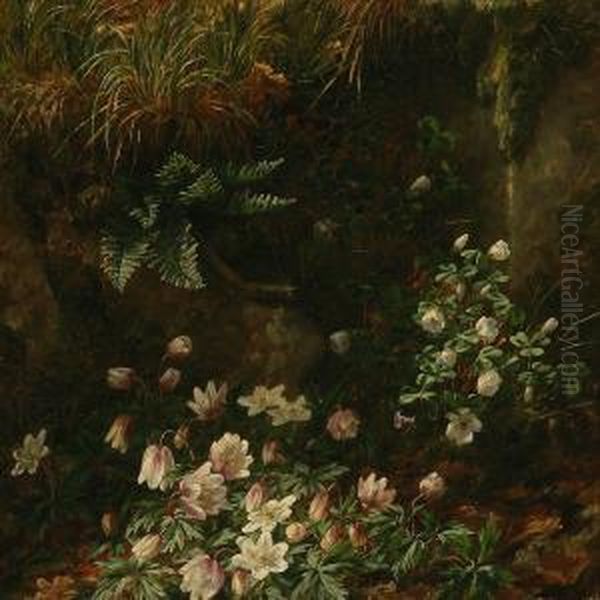 Forest Floorwith Anemons Oil Painting by Anthonie, Anthonore Christensen