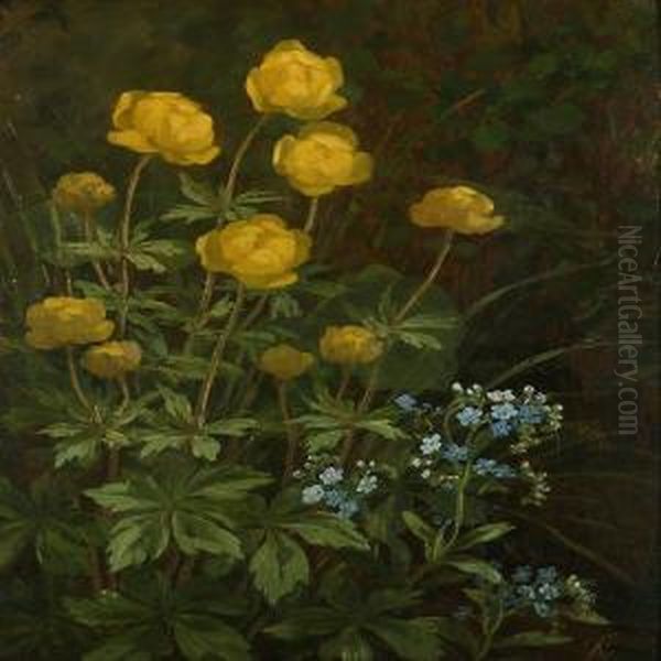 Globe Flowersand Forget-me-not Oil Painting by Anthonie, Anthonore Christensen