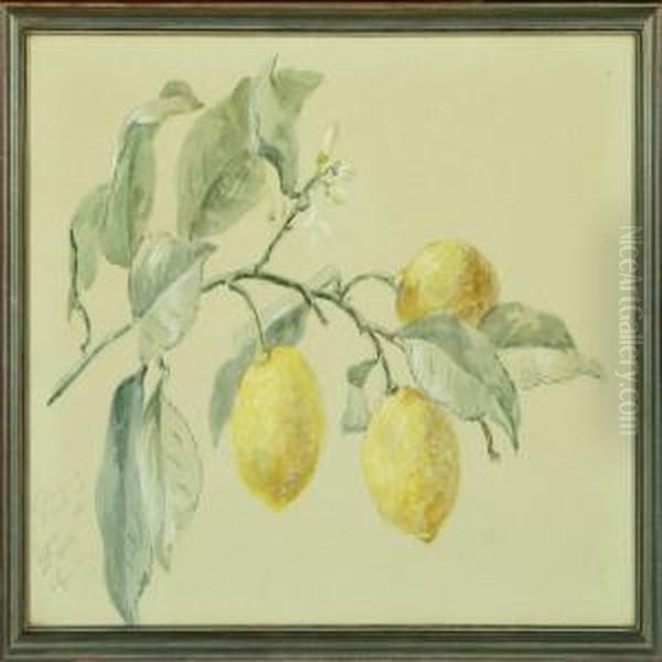 Citroner Ogblade Oil Painting by Anthonie, Anthonore Christensen