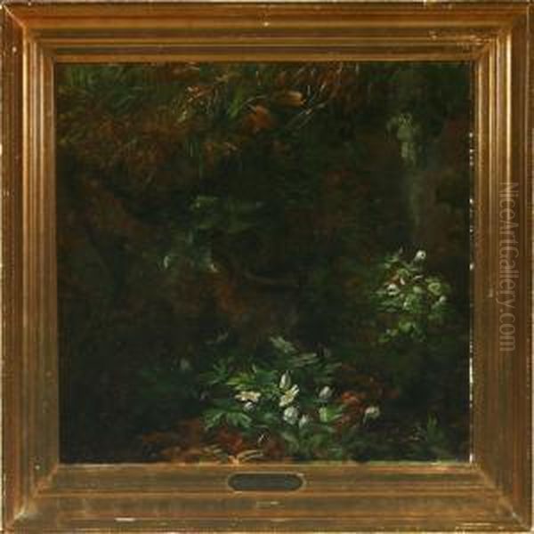 A Forest Floor With Anemones Oil Painting by Anthonie, Anthonore Christensen