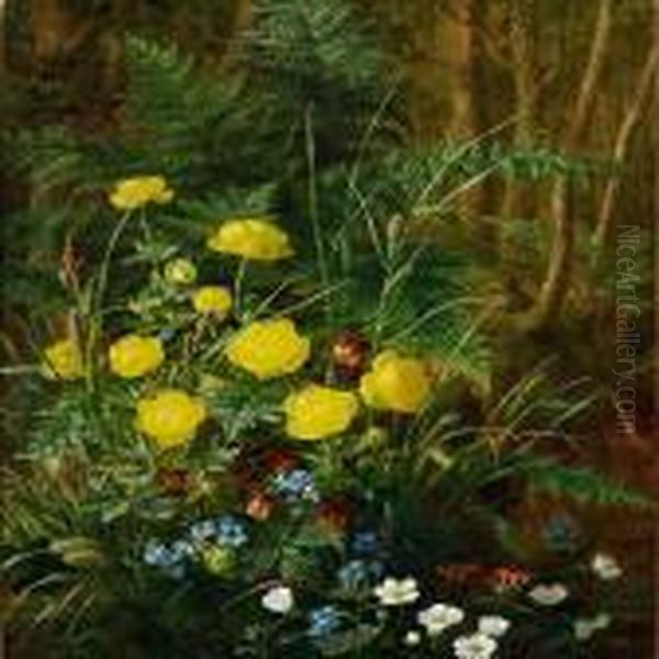 Forest Floor With Globe Flowers, Forget-me-nots And Butterflies Oil Painting by Anthonie, Anthonore Christensen