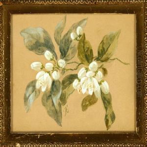 Two Flower Studies Oil Painting by Anthonie, Anthonore Christensen