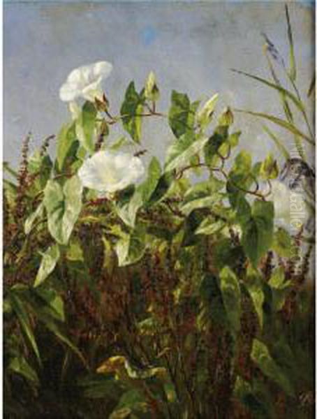 Morning Glories Oil Painting by Anthonie, Anthonore Christensen