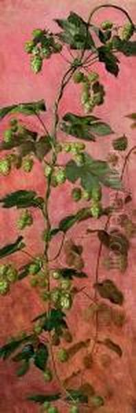 Hops In Bloom. Unsigned Oil Painting by Anthonie, Anthonore Christensen