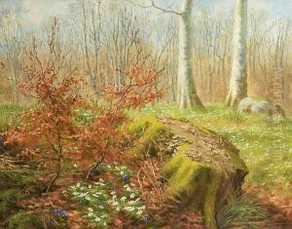 Forest Scenery With Anemones And Crocus. Signed Monogram 1917 Oil Painting by Anthonie, Anthonore Christensen