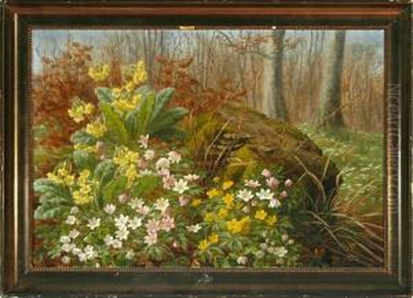 A Flowering Forest Floor Oil Painting by Anthonie, Anthonore Christensen