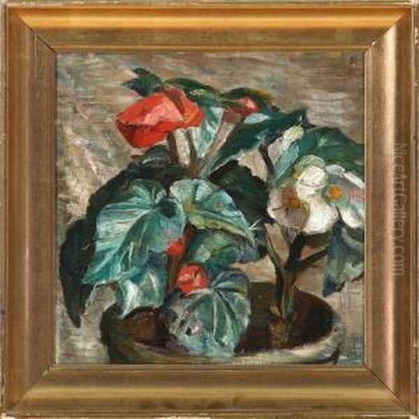 Blomstrende Begonia Oil Painting by Poul S. Christiansen