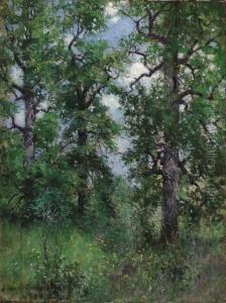 Wooded Grove Oil Painting by Howard Chandler Christy