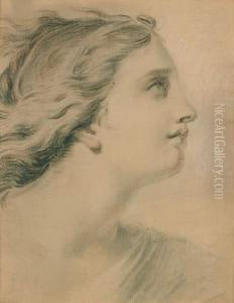 Jeune Femme De Profil Oil Painting by Giovanni Batista Cipriani