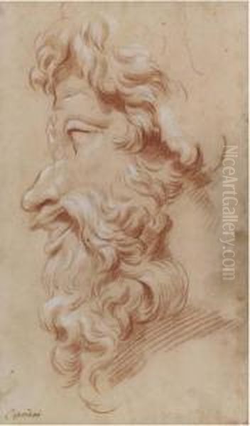 Study Of The Profile Of A Bearded God Oil Painting by Giovanni Batista Cipriani