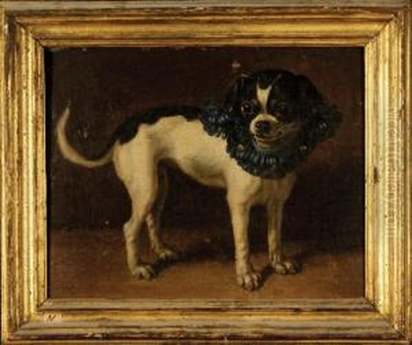 Cane Carlino Oil Painting by Pier Francesco Cittadini Il Milanese