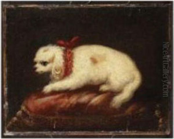 Maltese On A Red Cushion Oil Painting by Pier Francesco Cittadini Il Milanese