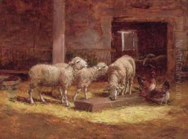 Sheep And Chickens In A Barn Oil Painting by Charles Clair