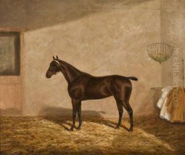 Portrait Du Cheval Flash Light Oil Painting by A. Clark