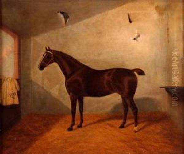 Racehorse In A Stable Oil Painting by A. Clark