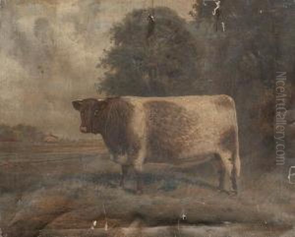 A Shorthorn Bull Standing Before A Farm Oil Painting by A. Clark