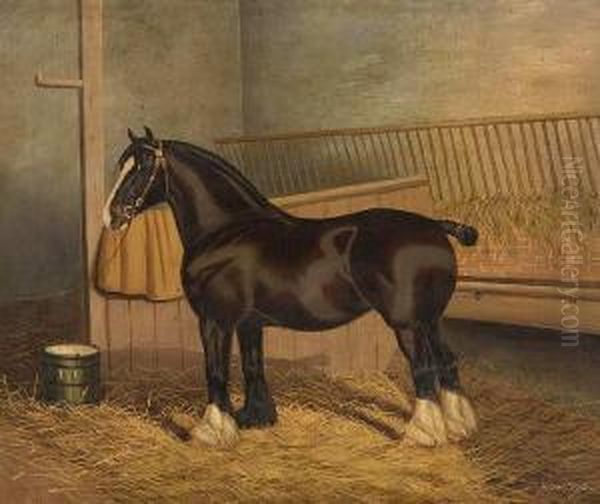 The Shire Horse 'queen Of Shires' In Astable Oil Painting by A. Clark