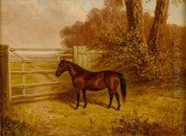 E - Bay Horse In A Field By A Gate Oil Painting by A. Clark