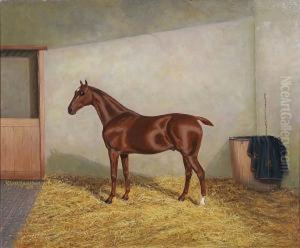 Dark Chestnut Hunter In A Stable by A. Clark