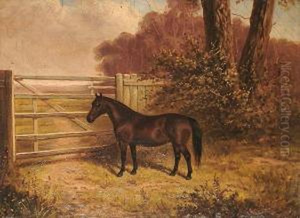 A Shetland Pony. Oil Painting by A. Clark