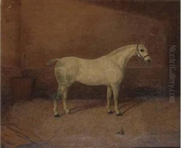 A Dappled Grey Hunter In A Stable Oil Painting by A. Clark