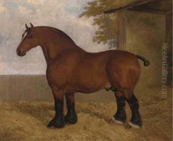 The Shire Stallion Oil Painting by A. Clark