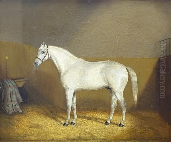 A Grey Hunter In A Loose Box Oil Painting by A. Clark