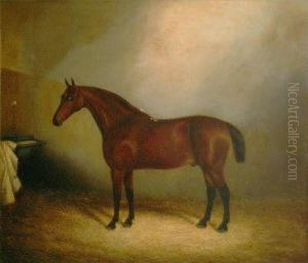 A Teathered Racehorse In A Stable Oil Painting by A. Clark