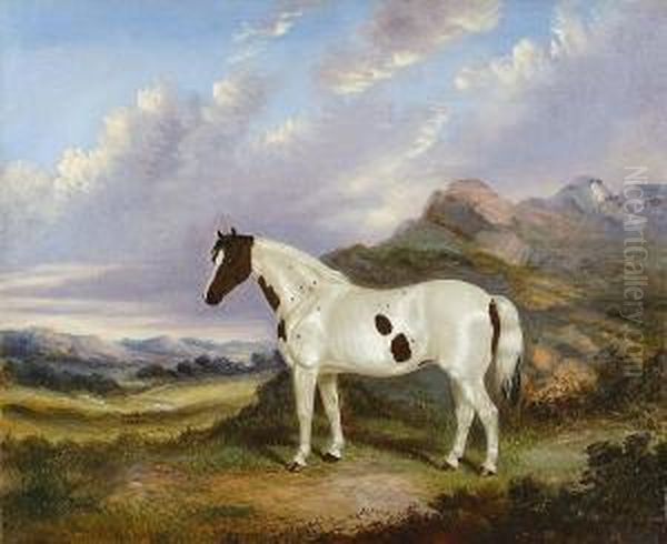 Portrait Of A Piebald Pony In A Landscape Oil Painting by A. Clark