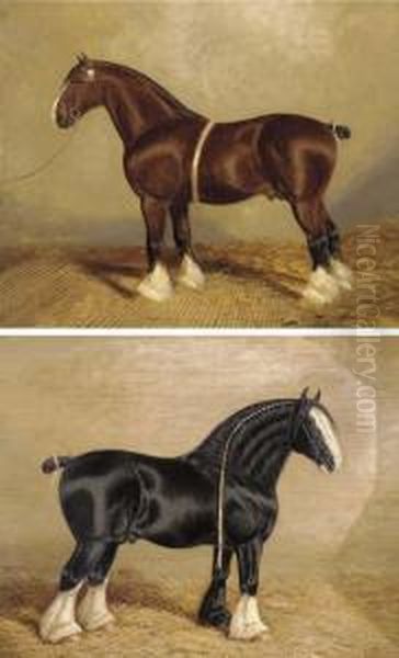 Bury Victor Chief A Heavy Horse Oil Painting by A. Clark