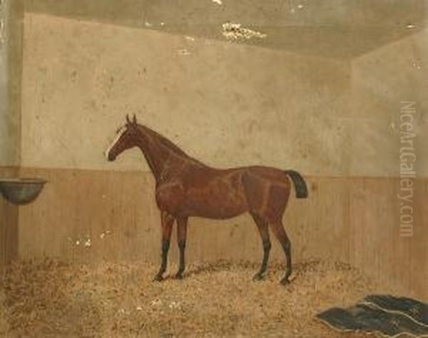 Portrait Of A Bay Horse In A Stable Oil Painting by James Senior Clark